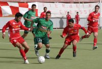 Le leader au menu du dauphin