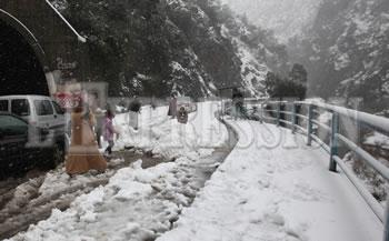 L'hiver rend la vie difficile aux Algériens