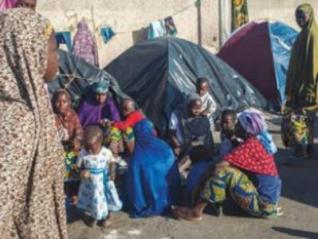 Partenariat de solidarité entre l'Algérie et le Niger