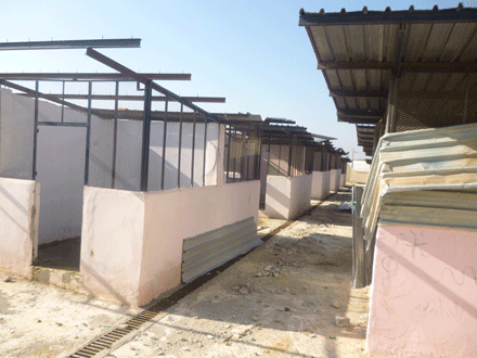 إزالة الأكواخ المستعملة كمحلات تجارية بعلي منجلي في قسنطينة