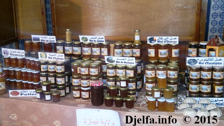 دار الصناعة التقليدية والحرف بالجلفة تحتضن الطبعة الأولى من المعرض الوطني لإنتاج العسل ومنتجات خلية النّحل