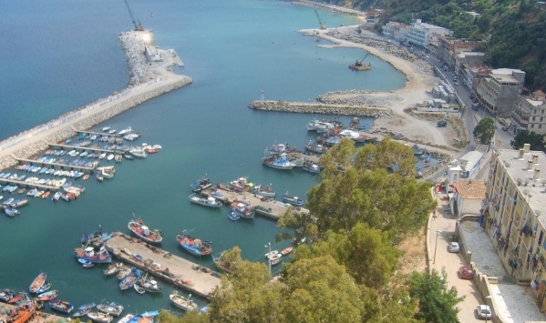 مشتلة لإعادة بعث الاستثمار ودعم المؤسسات الاقتصادية بسكيكدة