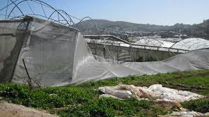 رياح هوجاء تتجاوز سرعتها 90 كلم في الساعة بالشلف