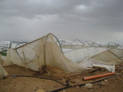 الرياح تتسبب في خسائر مادية بمستغانم