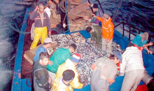 صيادو المرسي بسكيكدة يطالبون بتحسين أوضاعهم