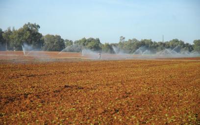 Un million d'hectares disponible