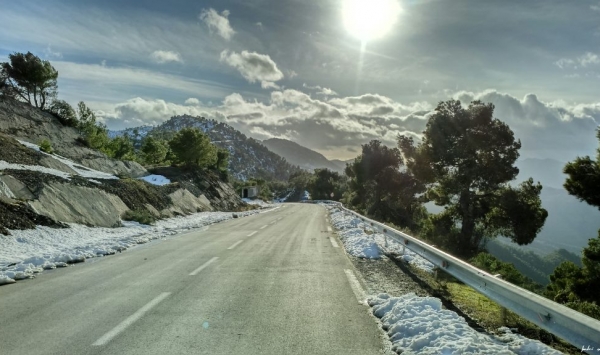 الثلوج تصنع أروع الصور وولايات جزائرية ترتدي حلة بيضاء