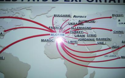 L'Afrique, c'est aussi une opportunité pour l'économie algérienne