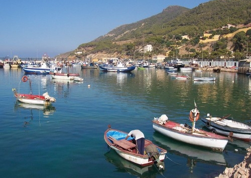 نقل مشروع المركب المينائي المستقبلي لمنطقة الوسط إلى تنس بالشلف