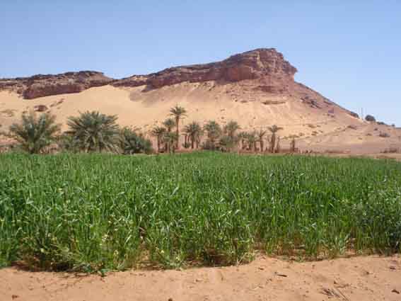 Adrar