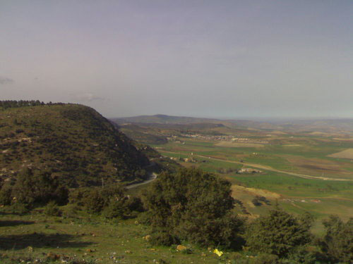 فيما تزحف سكنات غير مرخصة على الأراضي السهبية بطاقين بتيارت