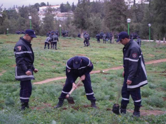 مصالح الحماية المدنية بمعسكر تطلق حملة تشجير