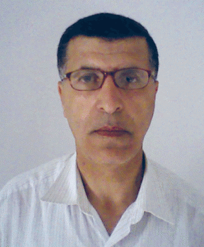 «Beaucoup de handicaps pourraient freiner la pénétration des marchés africains»