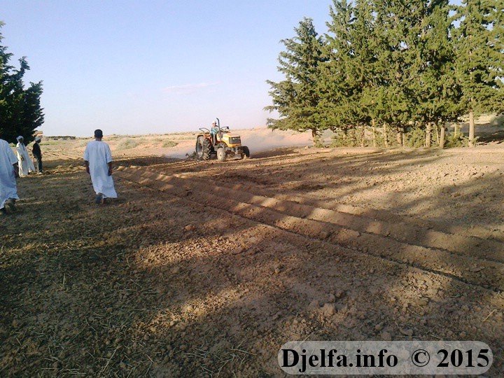 سكان منطقة ذراع قميش ببلدية الزعفران يناشدون والي الجلفة بالتدخل لتزويدهم بالكهرباء الريفية