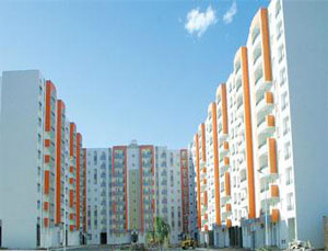 والي تيارت يعاين عدة مشاريع بدائرة السوقر