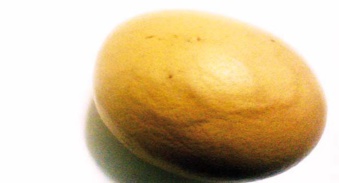 LE NOM EXALTE D'ALLAH ET CELUI DE SON PROPHETE MOHAMED (QSSSL) SUR UN 'UF !