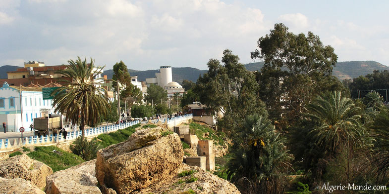 Plus de 11 milliards de DA pour la réhabilitation de 50 sources