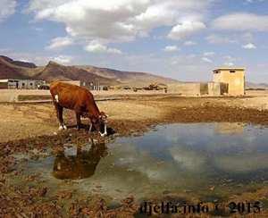 الإنطلاق قريبا في الحصة الثانية من تجديد شبكة مياه الشرب بمدينة الجلفة ... و3000 نسمة بمنطقة  الشارب  بحد الصحاري يشتكون من العطش !!