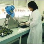 وفاة امرأة مشتبه في إصابتها بداء أنفلونزا  الخنازير  بسيدي بلعباس