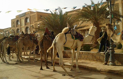 محتجون على إلغاء سباق يدخلون جمالا إلى مقر ولاية إليزي