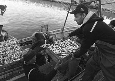 Le ministre de la Pêche et des Ressources halieutiques en visite d'inspection à Chlef