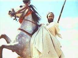 Soulèvement de Chikh Bouamama