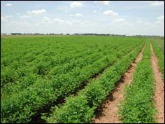 BADR : plus de 3200 micro-projets financés à Tizi-Ouzou