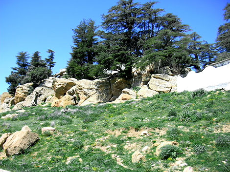 سكان سفوح الجبال بخنشلة يغادرون سكناتهم خوفا من تساقط الصخور