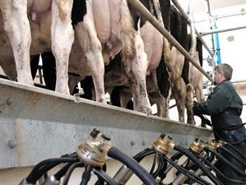 Tizi Ouzou en pole position