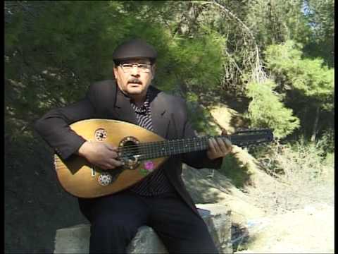 Abbes Nait Rzine, Le successeur de Cherif Kheddam dans la chanson kabylo oriental