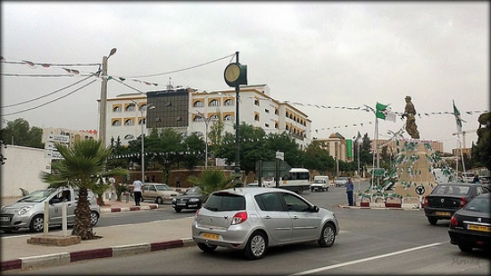 عمال الأسلاك المشتركة يشلّون مقاطعات الغابات بمعسكر