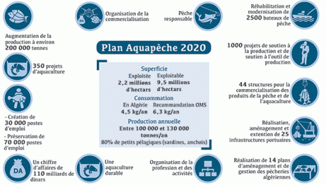 Le poisson, nouvel outsider de l'économie