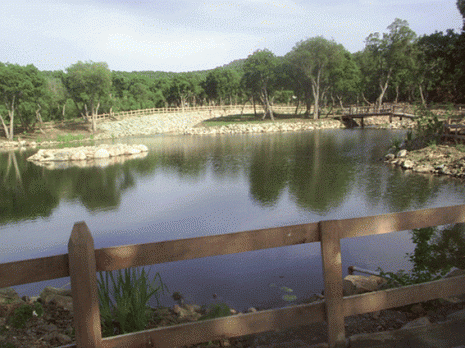 COMPTAGE DES OISEAUX D'EAU À JIJEL