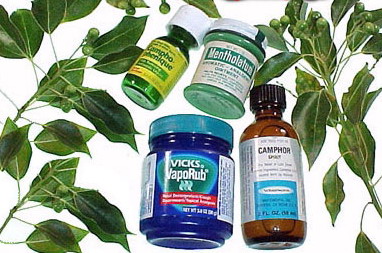 بائعو الأعشاب الطبيعية يسحبون البساط من تحت العيادات الطبية بالجزائر