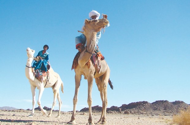 Etat des lieux d'un secteur abandonné