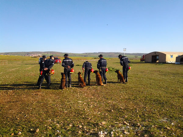 لقياس جاهزية التدخل في الكوارث الكبرى العقيد خلاف يصرّح من معسكر