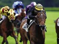 OLYMPUS UNE BELLE CARTE