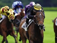 OLYMPUS UNE BELLE CARTE