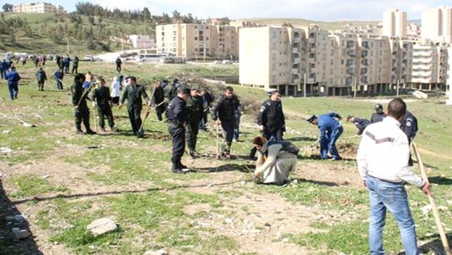 La police s'implique dans une importante opération de reboisement à Constantine