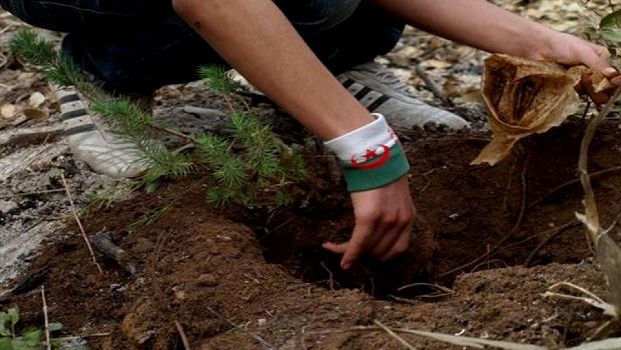 Protection de l'environnement