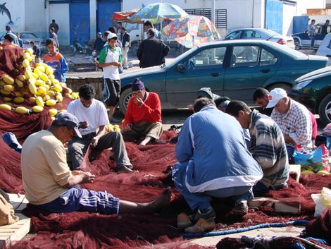 استخدام مواد مخدّرة لاصطياد الأسماك في المياه العذبة بسكيكدة