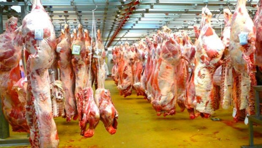 Poursuite de la baisse de la production des abattoirs d'Alger