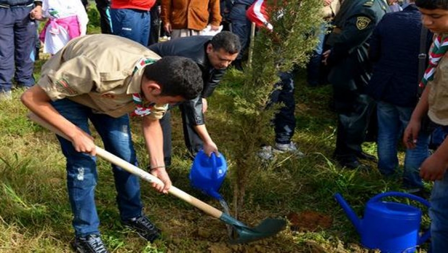 Journée mondiale des forêts