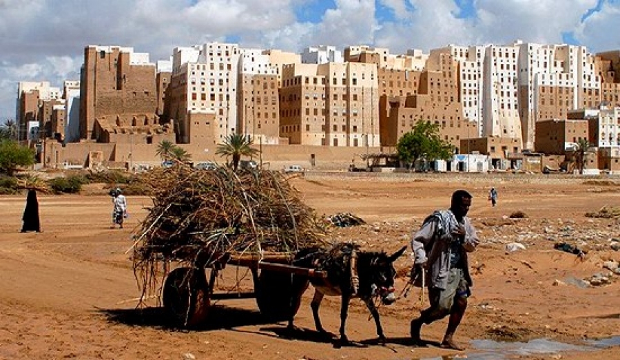 Le Conseil de sécurité soutient le président Hadi et l'unité du Yémen