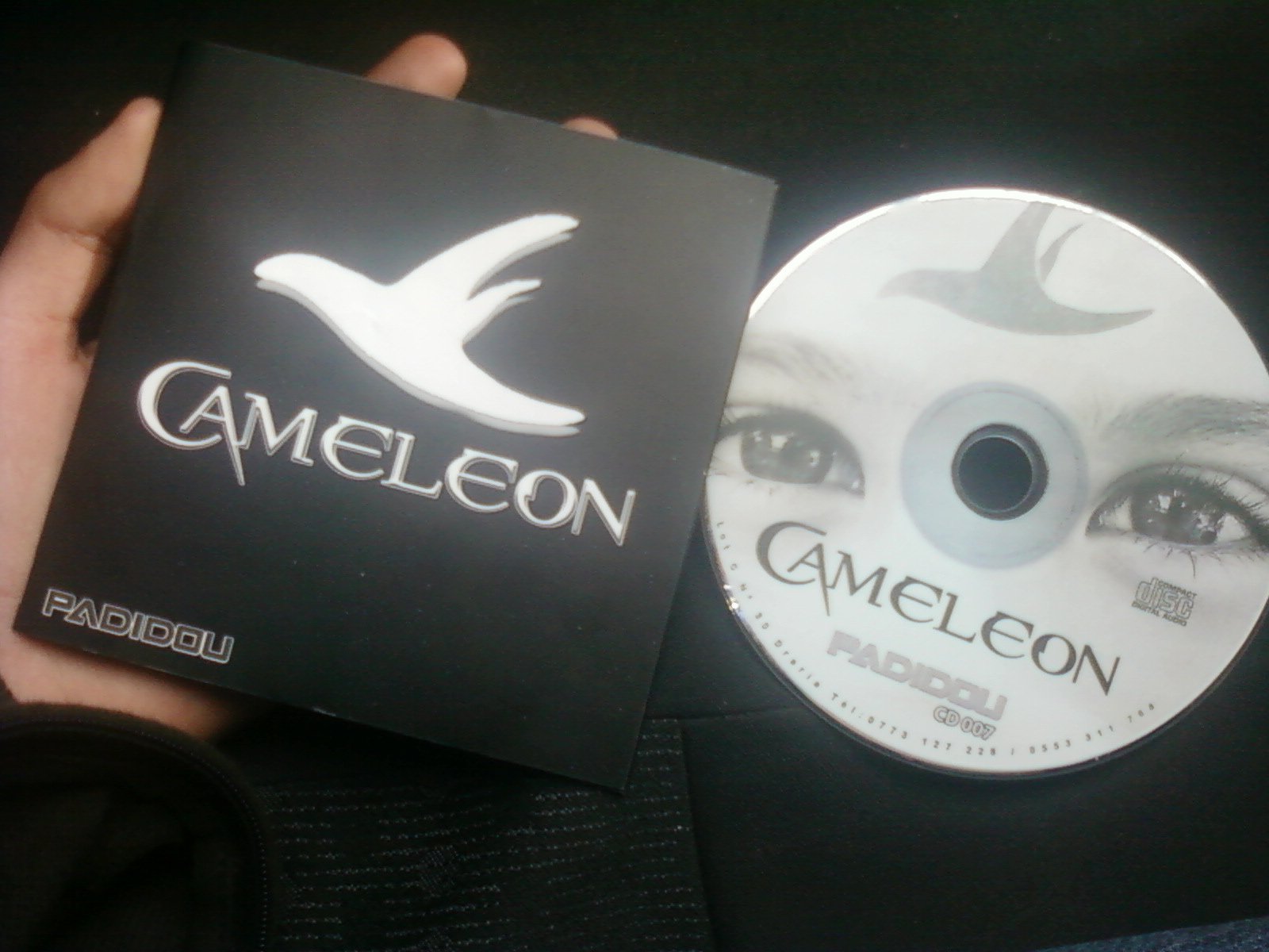 SORTIE, AUJOURD’HUI, DU PREMIER ALBUM ÉPONYME DU GROUPE “CAMÉLEON”  Premier objectif atteint