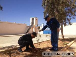 أمن ولاية الجلفة ينظم حملة تشجير بمقر الشرطة القضائية الجديد ببلدية فيض البطمة
