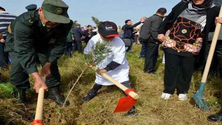 Journée mondiale des forêts