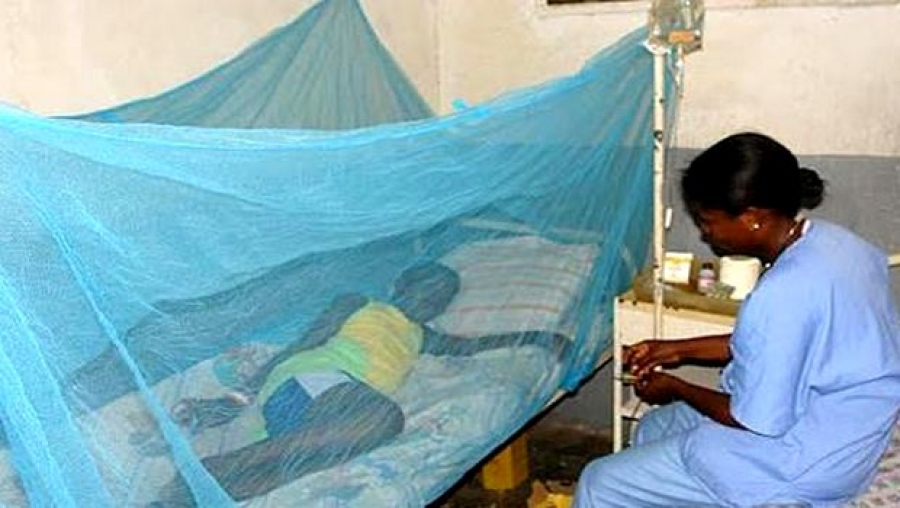 L'OMS appelle à accroître les efforts pour lutter contre la tuberculose