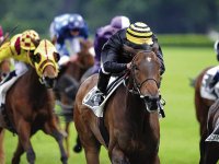 NADJM ESSAHRA, EN EPOUVANTAIL