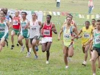 Les athlètes algériens à pied d''uvre